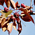 Яблоня декоративная 'Роялти' (Malus 'Royalty')