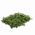 Рулонный многолетник Вальдштейния тройчатая (Waldstenia ternata)