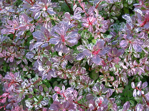 6-563